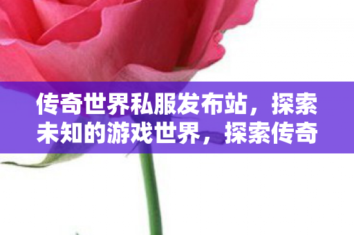 传奇世界私服发布站,探索未知的游戏世界,探索传奇世界私服,解锁未知游戏世界! 传奇世界私服发布站,探索未知的游戏世界,探索传奇世界私服,解锁未知游戏世界!