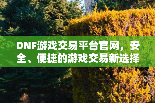 DNF游戏交易平台官网图片