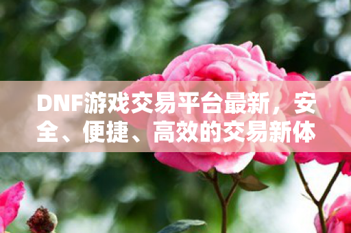 DNF游戏交易平台最新图片