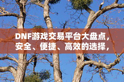 DNF游戏交易平台大盘点图片