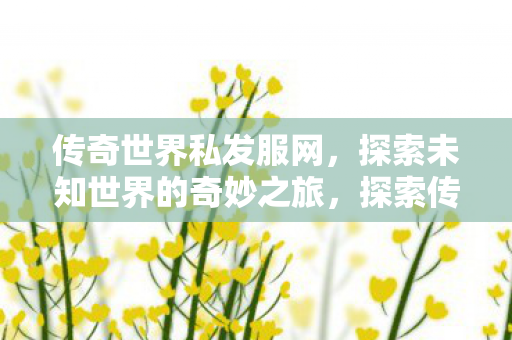 传奇世界私发服网,探索未知世界的奇妙之旅,探索传奇世界私发服网,开启未知世界的奇妙之旅 传奇世界私发服网,探索未知世界的奇妙之旅,探索传奇世界私发服网,开启未知世界的奇妙之旅