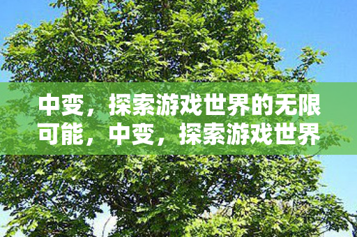 中变,探索游戏世界的无限可能,中变,探索游戏世界的无限可能 中变,探索游戏世界的无限可能,中变,探索游戏世界的无限可能