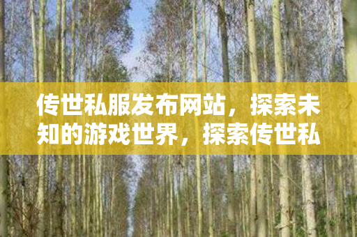 探索传世私服发布网站图片
