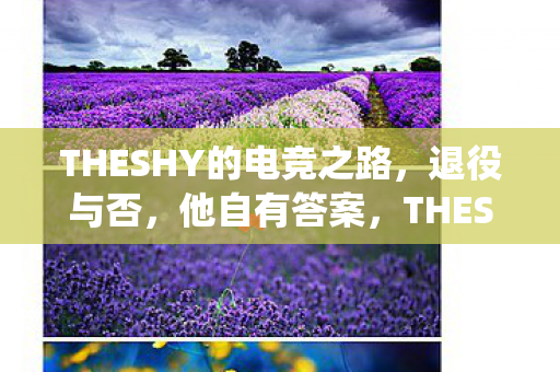 THESHY的电竞之路，退役与否，他自有答案，THESHY的电竞人生，退役与否，他自有答案