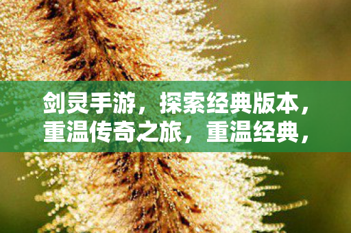 剑灵手游,探索经典版本,重温传奇之旅,重温经典,剑灵手游传奇之旅再启航 剑灵手游,探索经典版本,重温传奇之旅,重温经典,剑灵手游传奇之旅再启航