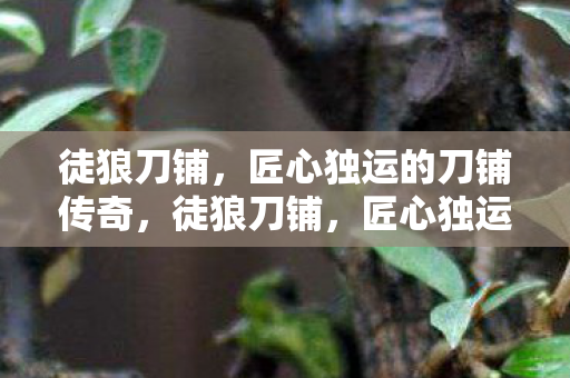 徒狼刀铺,匠心独运的刀铺传奇,徒狼刀铺,匠心独运的传奇刀铺 徒狼刀铺,匠心独运的刀铺传奇,徒狼刀铺,匠心独运的传奇刀铺