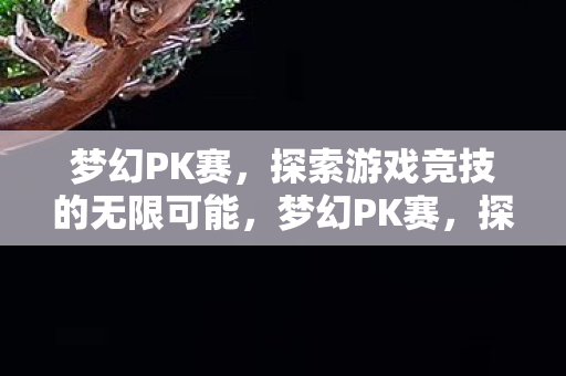 梦幻PK赛,探索游戏竞技的无限可能,梦幻PK赛,探索游戏竞技的无限可能 梦幻PK赛,探索游戏竞技的无限可能,梦幻PK赛,探索游戏竞技的无限可能