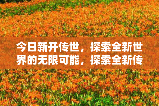 今日新开传世，探索全新世界的无限可能，探索全新传世世界，开启无限可能之旅