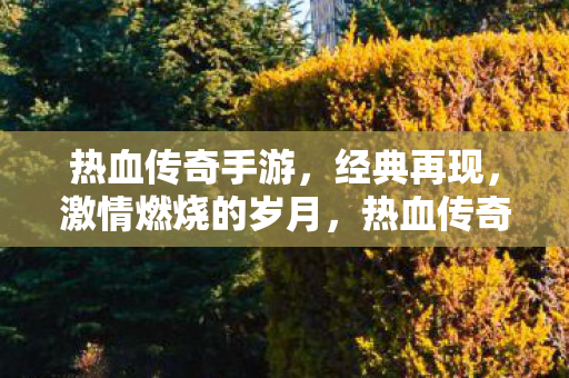 重温激情燃烧的岁月图片