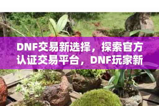DNF交易新选择,探索官方认证交易平台,DNF玩家新选择,探索官方认证交易平台 DNF交易新选择,探索官方认证交易平台,DNF玩家新选择,探索官方认证交易平台