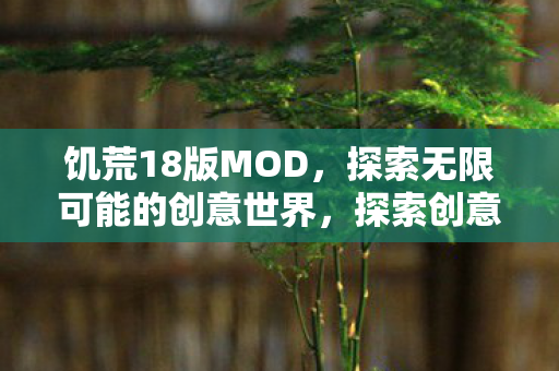 饥荒18版MOD,探索无限可能的创意世界,探索创意无限,饥荒18版MOD的奇妙世界 饥荒18版MOD,探索无限可能的创意世界,探索创意无限,饥荒18版MOD的奇妙世界