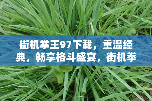 街机拳王97下载,重温经典,畅享格斗盛宴,街机拳王97下载重温经典格斗盛宴 街机拳王97下载,重温经典,畅享格斗盛宴,街机拳王97下载重温经典格斗盛宴