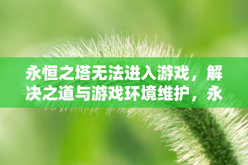 永恒之塔无法进入游戏,解决之道与游戏环境维护,永恒之塔无法进入游戏?解决之道与游戏环境维护全攻略 永恒之塔无法进入游戏,解决之道与游戏环境维护,永恒之塔无法进入游戏?解决之道与游戏环境维护全攻略