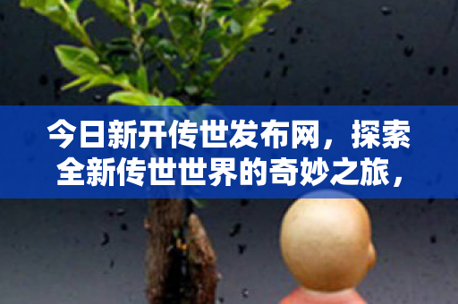 今日新开传世发布网,探索全新传世世界的奇妙之旅,探索全新传世世界,新开传世发布网开启奇妙之旅 今日新开传世发布网,探索全新传世世界的奇妙之旅,探索全新传世世界,新开传世发布网开启奇妙之旅