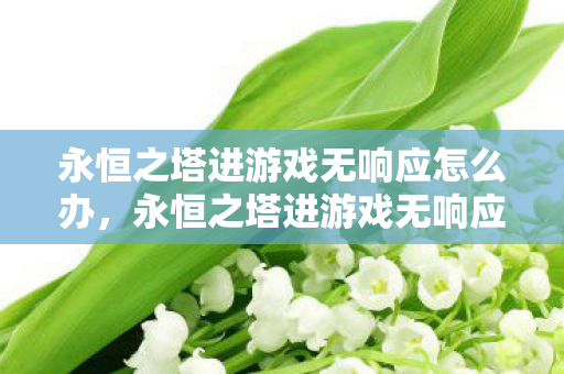 永恒之塔进游戏无响应怎么办,永恒之塔进游戏无响应的解决方法 永恒之塔进游戏无响应怎么办,永恒之塔进游戏无响应的解决方法