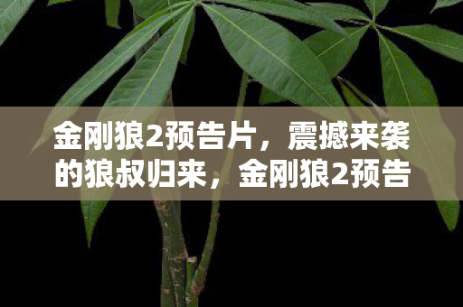 金刚狼2预告片,震撼来袭的狼叔归来,金刚狼2预告片,狼叔震撼归来 金刚狼2预告片,震撼来袭的狼叔归来,金刚狼2预告片,狼叔震撼归来