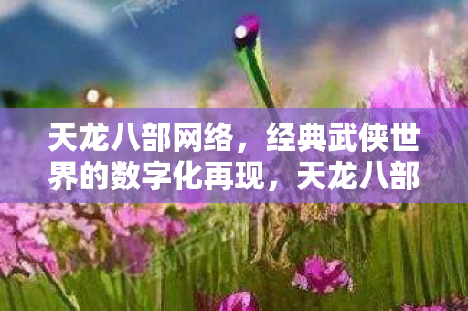 天龙八部网络,经典武侠世界的数字化再现,天龙八部网络版,经典武侠世界的数字化再现 天龙八部网络,经典武侠世界的数字化再现,天龙八部网络版,经典武侠世界的数字化再现