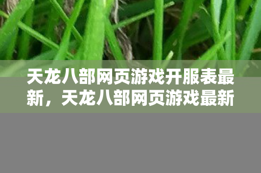 天龙八部网页游戏最新开服时间表公布图片