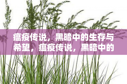 瘟疫传说,黑暗中的生存与希望,瘟疫传说,黑暗中的生存与希望 瘟疫传说,黑暗中的生存与希望,瘟疫传说,黑暗中的生存与希望