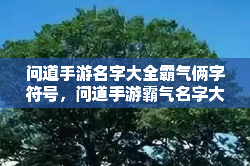 问道手游名字大全霸气俩字符号,问道手游霸气名字大全带俩字符号 问道手游名字大全霸气俩字符号,问道手游霸气名字大全带俩字符号