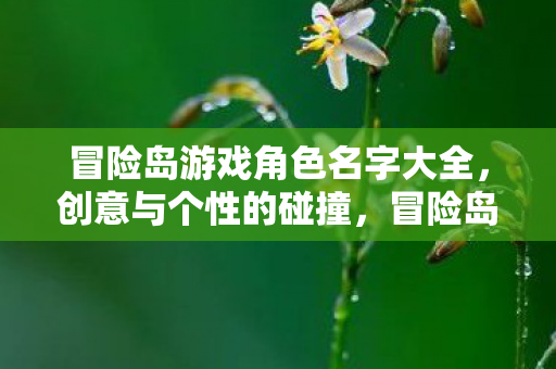 冒险岛游戏角色名字大全,创意与个性的碰撞,冒险岛游戏角色名字创意集锦 冒险岛游戏角色名字大全,创意与个性的碰撞,冒险岛游戏角色名字创意集锦