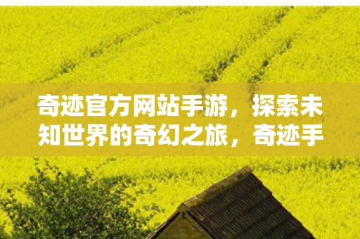 奇迹官方网站手游,探索未知世界的奇幻之旅,奇迹手游,探索未知世界的奇幻之旅 奇迹官方网站手游,探索未知世界的奇幻之旅,奇迹手游,探索未知世界的奇幻之旅