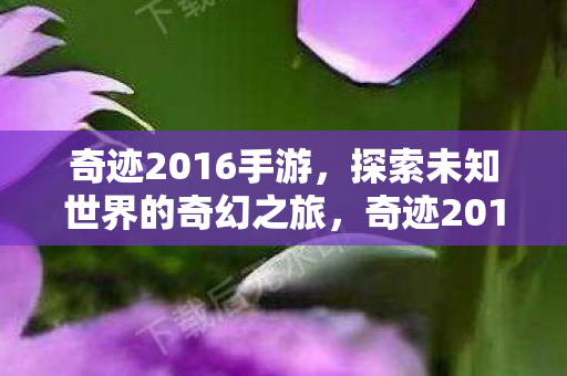 奇迹2016手游,探索未知世界的奇幻之旅,奇迹2016手游,探索未知世界的奇幻之旅 奇迹2016手游,探索未知世界的奇幻之旅,奇迹2016手游,探索未知世界的奇幻之旅