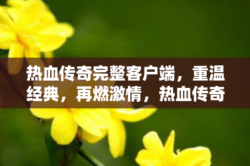 热血传奇完整客户端图片
