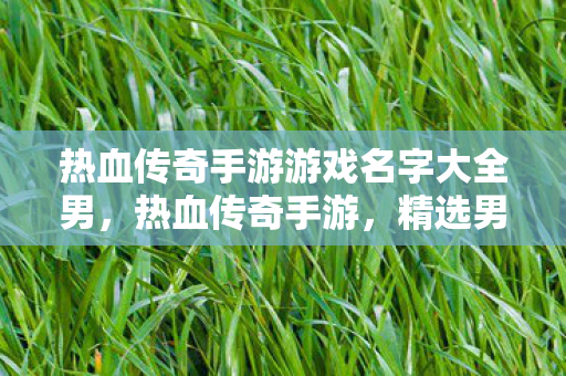 热血传奇手游游戏名字大全男图片