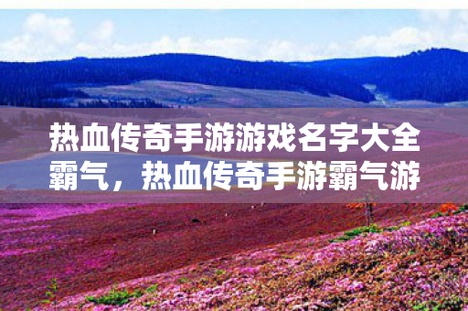 热血传奇手游游戏名字大全霸气图片