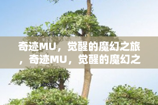 奇迹MU,觉醒的魔幻之旅,奇迹MU,觉醒的魔幻之旅 奇迹MU,觉醒的魔幻之旅,奇迹MU,觉醒的魔幻之旅