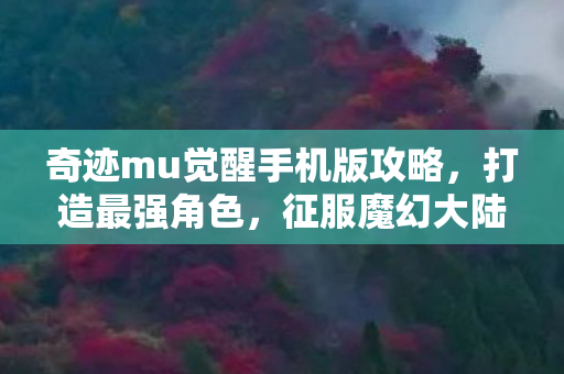 奇迹mu觉醒手机版攻略，打造最强角色，征服魔幻大陆，奇迹MU觉醒手游攻略，打造最强角色，征服魔幻大陆