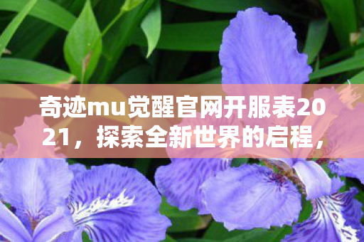 奇迹mu觉醒官网开服表2021，探索全新世界的启程，奇迹MU觉醒2021官网开服表，探索全新世界的启程