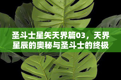 圣斗士星矢天界篇03,天界星辰的奥秘与圣斗士的终极试炼,圣斗士星矢天界篇03,天界星辰的奥秘与终极试炼揭晓 圣斗士星矢天界篇03,天界星辰的奥秘与圣斗士的终极试炼,圣斗士星矢天界篇03,天界星辰的奥秘与终极试炼揭晓
