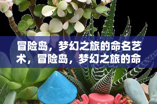冒险岛,梦幻之旅的命名艺术,冒险岛,梦幻之旅的命名艺术 冒险岛,梦幻之旅的命名艺术,冒险岛,梦幻之旅的命名艺术