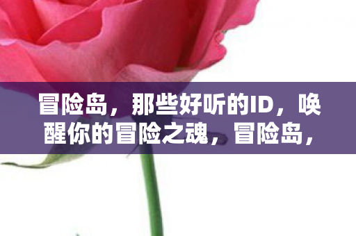 冒险岛,那些好听的ID,唤醒你的冒险之魂,冒险岛,唤醒你的冒险之魂,那些好听的ID等你来取 冒险岛,那些好听的ID,唤醒你的冒险之魂,冒险岛,唤醒你的冒险之魂,那些好听的ID等你来取