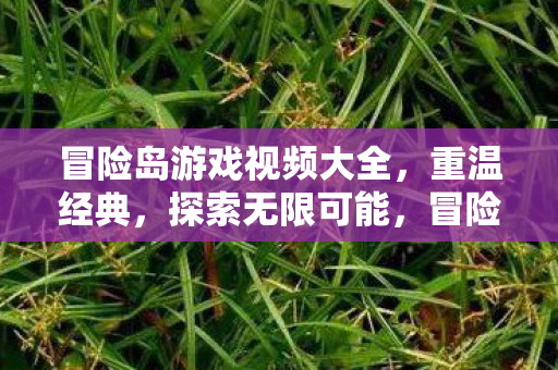 冒险岛游戏视频大全,重温经典,探索无限可能,冒险岛游戏视频集锦,重温经典,探索无限可能 冒险岛游戏视频大全,重温经典,探索无限可能,冒险岛游戏视频集锦,重温经典,探索无限可能