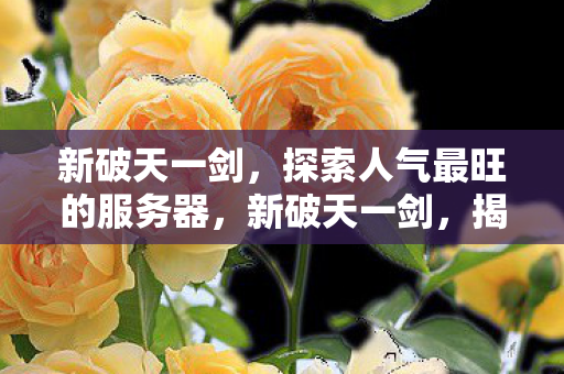探索人气最旺的服务器图片