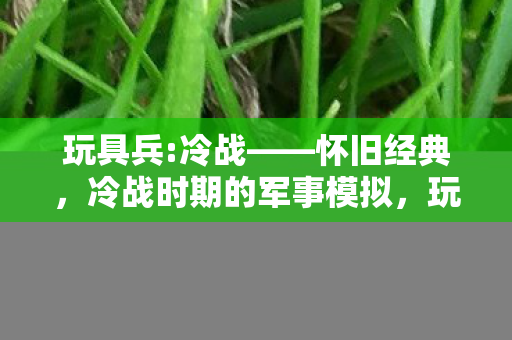 玩具兵:冷战——怀旧经典,冷战时期的军事模拟,玩具兵:冷战——冷战时期的军事模拟经典怀旧 玩具兵:冷战——怀旧经典,冷战时期的军事模拟,玩具兵:冷战——冷战时期的军事模拟经典怀旧
