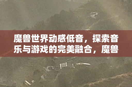 魔兽世界动感低音,探索音乐与游戏的完美融合,魔兽世界动感低音,音乐与游戏的完美融合 魔兽世界动感低音,探索音乐与游戏的完美融合,魔兽世界动感低音,音乐与游戏的完美融合