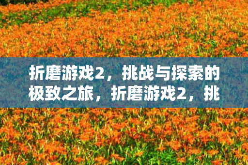 折磨游戏2,挑战与探索的极致之旅,折磨游戏2,挑战与探索的极致之旅 折磨游戏2,挑战与探索的极致之旅,折磨游戏2,挑战与探索的极致之旅