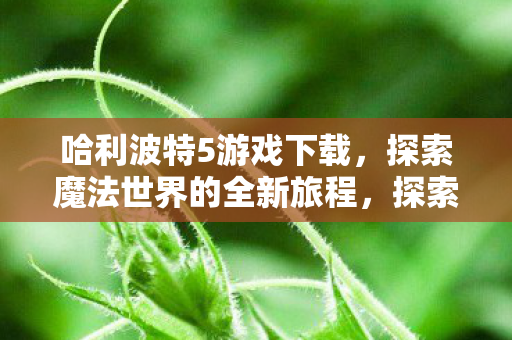 哈利波特5游戏下载,探索魔法世界的全新旅程,探索魔法世界,哈利波特5游戏下载开启全新旅程 哈利波特5游戏下载,探索魔法世界的全新旅程,探索魔法世界,哈利波特5游戏下载开启全新旅程