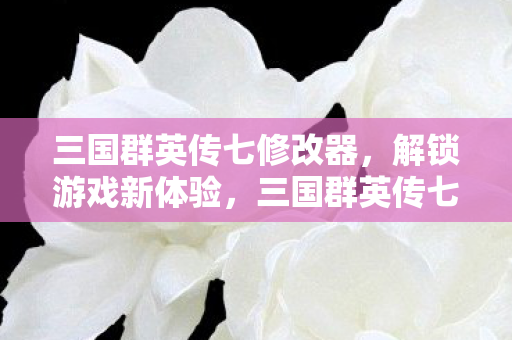 三国群英传七修改器,解锁游戏新体验,三国群英传七修改器,解锁游戏新体验 三国群英传七修改器,解锁游戏新体验,三国群英传七修改器,解锁游戏新体验
