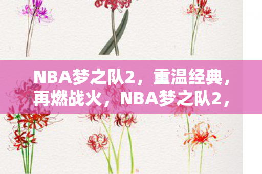 NBA梦之队2，重温经典，再燃战火，NBA梦之队2，经典重温，战火再燃