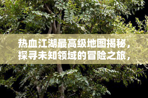 热血江湖最高级地图揭秘,探寻未知领域的冒险之旅,热血江湖最高级地图揭秘,未知领域的冒险之旅 热血江湖最高级地图揭秘,探寻未知领域的冒险之旅,热血江湖最高级地图揭秘,未知领域的冒险之旅