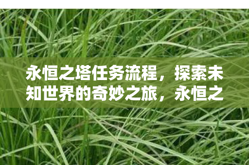 永恒之塔任务流程,探索未知世界的奇妙之旅,永恒之塔,探索未知世界的奇妙任务之旅 永恒之塔任务流程,探索未知世界的奇妙之旅,永恒之塔,探索未知世界的奇妙任务之旅