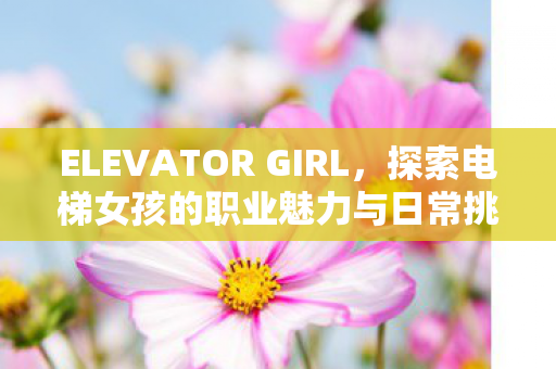 ELEVATOR GIRL，探索电梯女孩的职业魅力与日常挑战，电梯女孩，职业魅力与日常挑战
