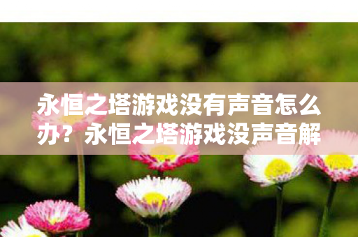 永恒之塔游戏没有声音怎么办?永恒之塔游戏没声音解决方法 永恒之塔游戏没有声音怎么办?永恒之塔游戏没声音解决方法