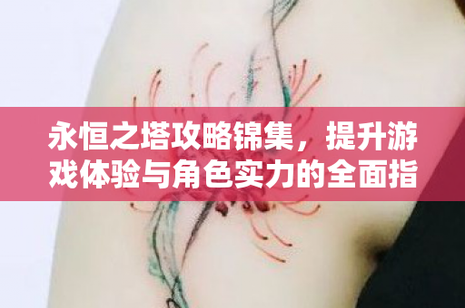 提升游戏体验与角色实力的全面指南图片