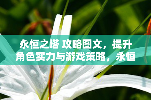 角色提升与游戏策略全攻略图片